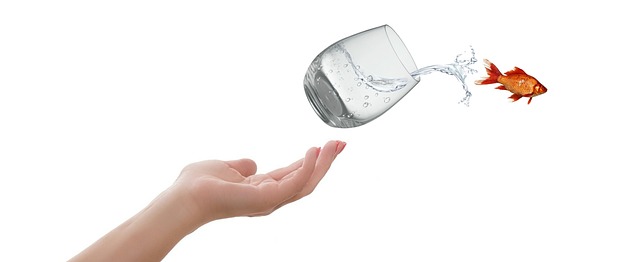 Czy na podstawie akt urodzenia wystarczy do przekroczenia granicy? Czy na podstawie akt urodzenia wystarczy do przekroczenia granicy?